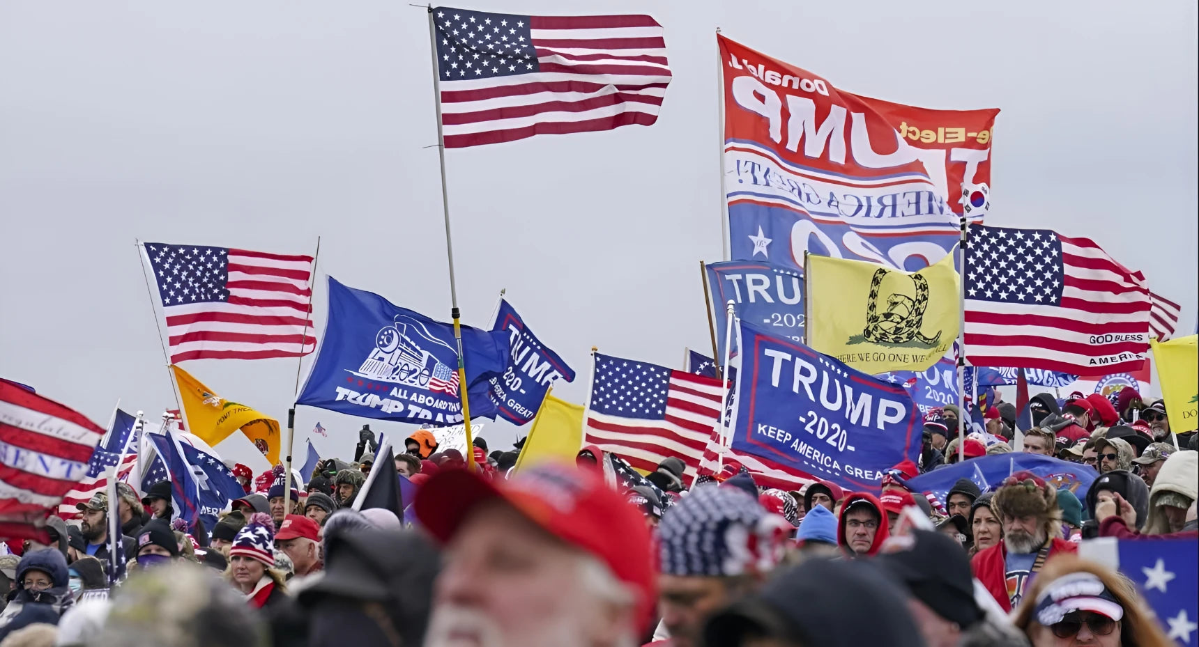 Banners/ Posters / Flags